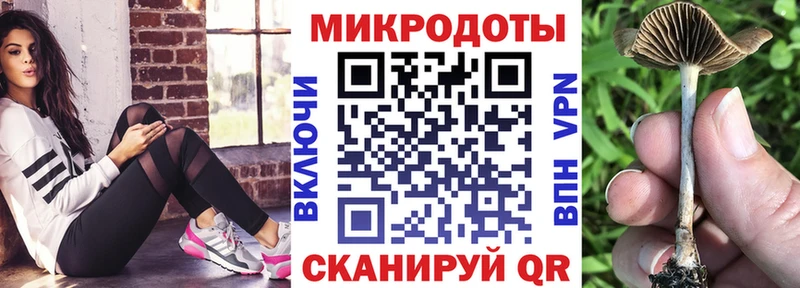 Купить где  Тарко-Сале  Псилоцибиновые грибы мицелий 